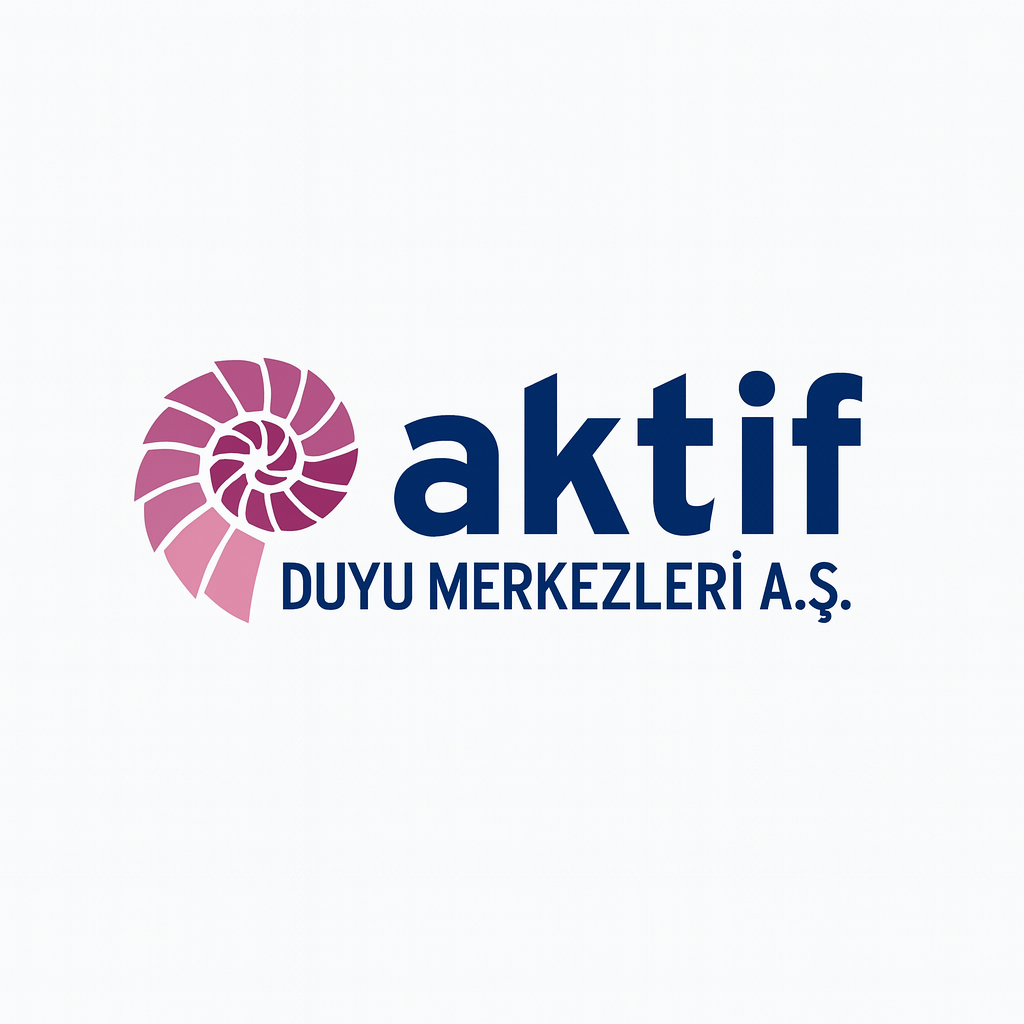 Aktif Duyu